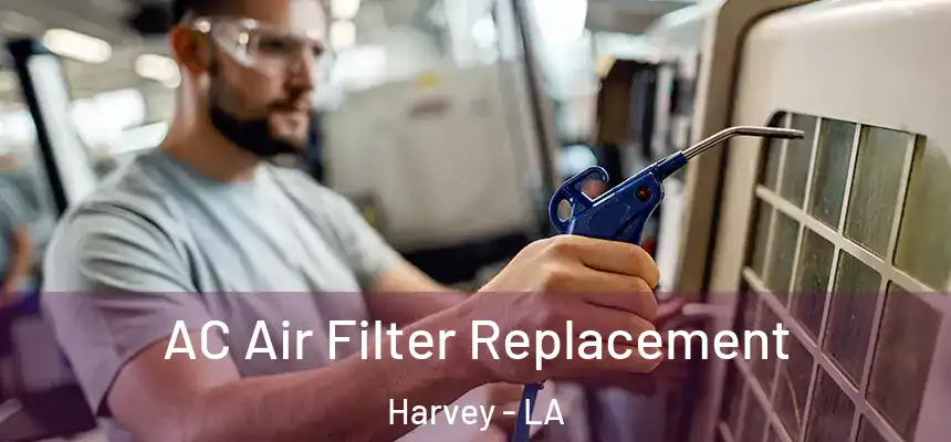  AC Air Filter Replacement Harvey - LA
