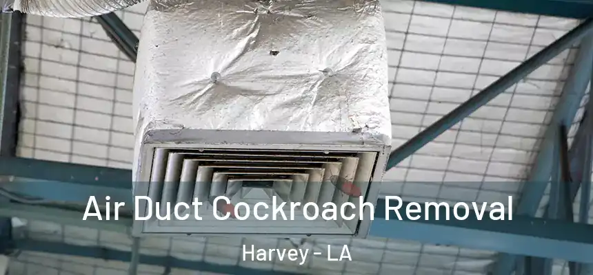 Air Duct Cockroach Removal Harvey - LA