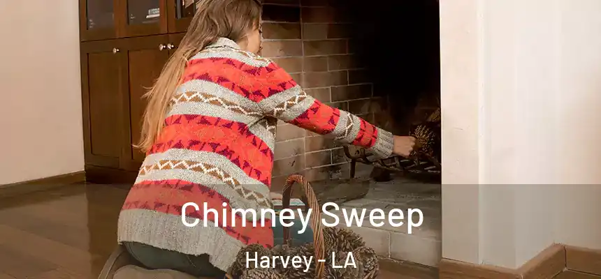  Chimney Sweep Harvey - LA