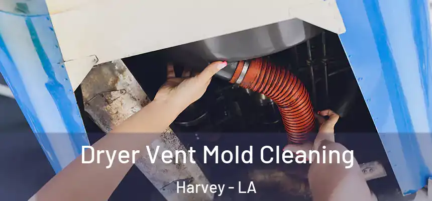  Dryer Vent Mold Cleaning Harvey - LA