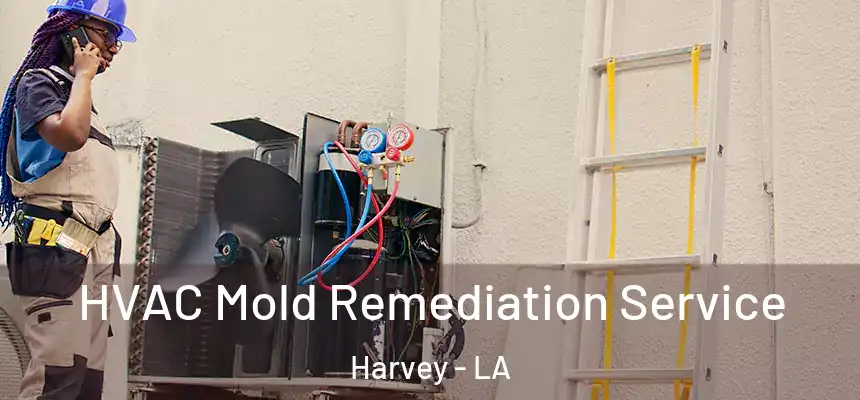  HVAC Mold Remediation Service Harvey - LA