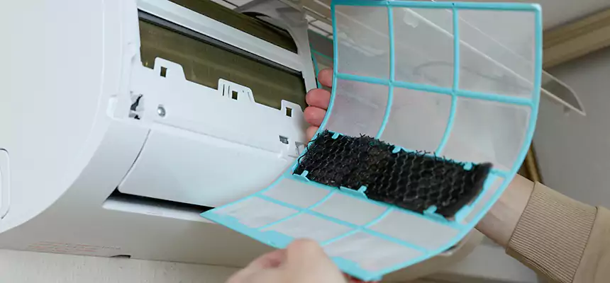 Gentle Ductwork Odor-Control Pet Dander Duct Cleaning in Harvey, LA