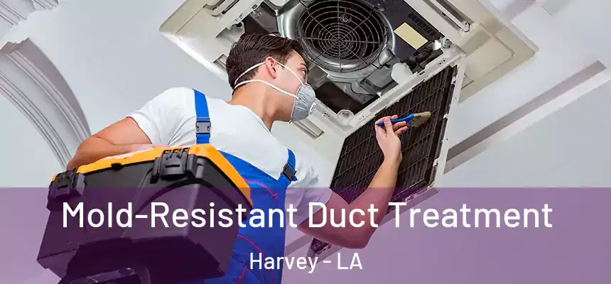  Mold-Resistant Duct Treatment Harvey - LA