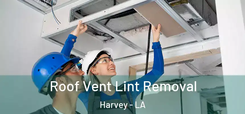  Roof Vent Lint Removal Harvey - LA