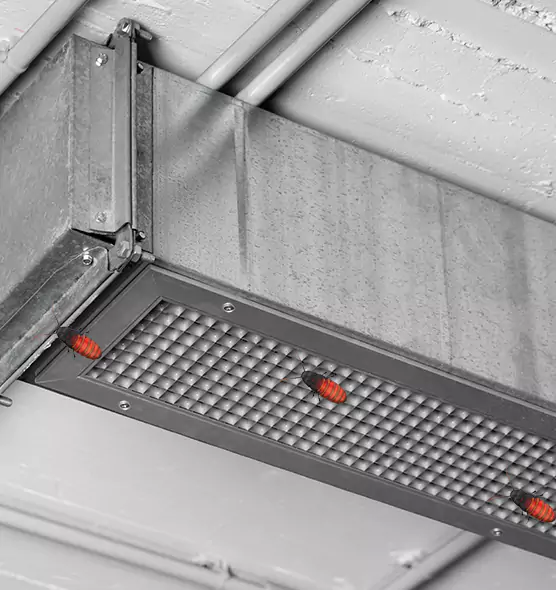 Affordable Insect Removal from Air Ducts in Harvey, LA