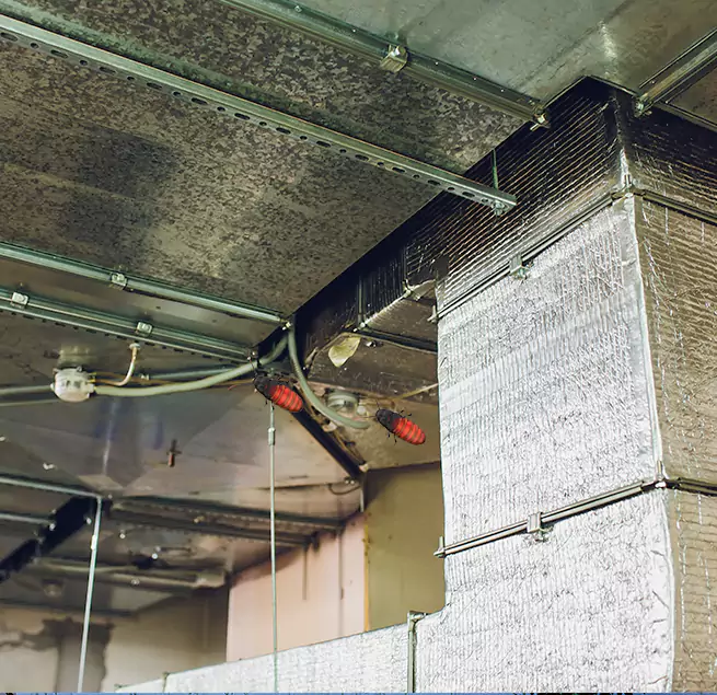 Why Homeowners & Businesses Trust Us in Harvey, LA?