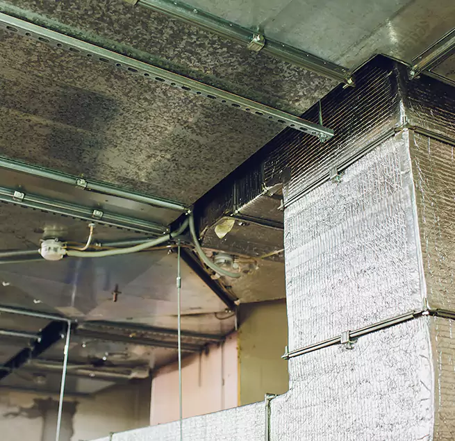 Why Homeowners & Businesses Trust Us in Harvey, LA?